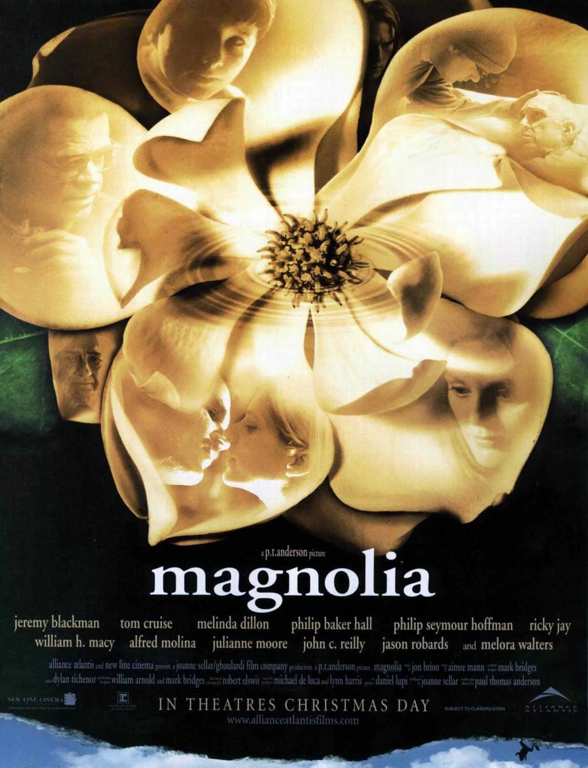 Magnolia — Studio/K, Amsterdam
