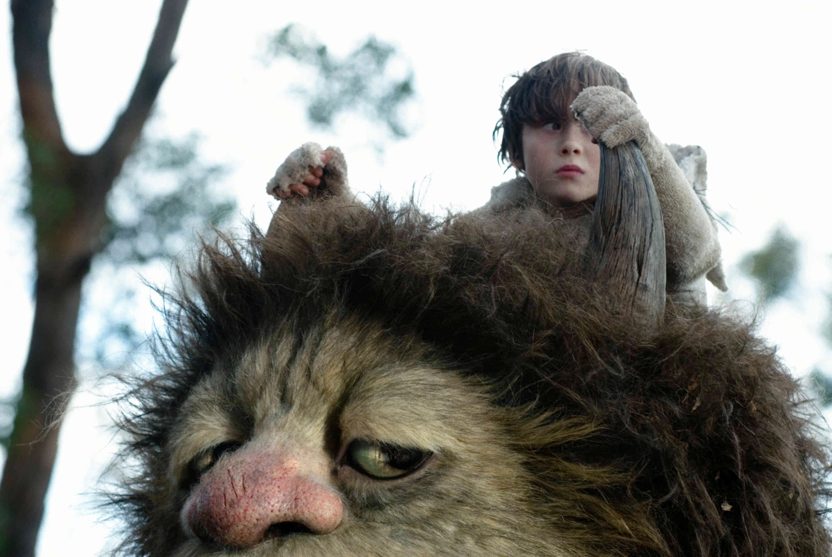 Where the Wild Things Are — Studio/K, Amsterdam