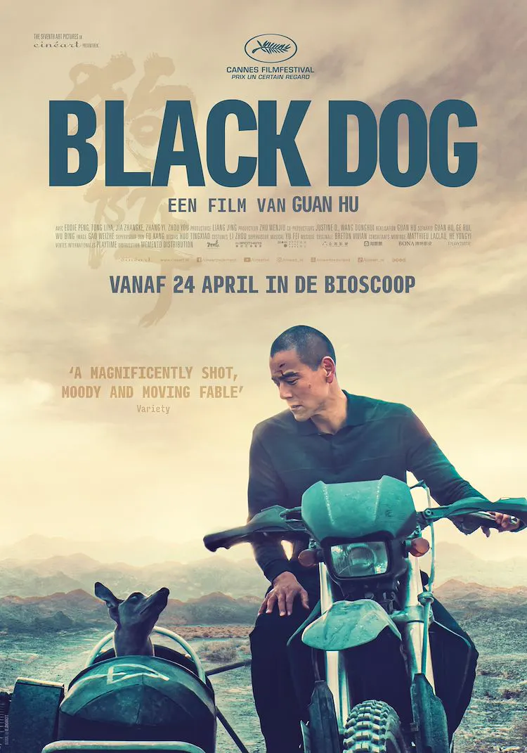 Black Dog