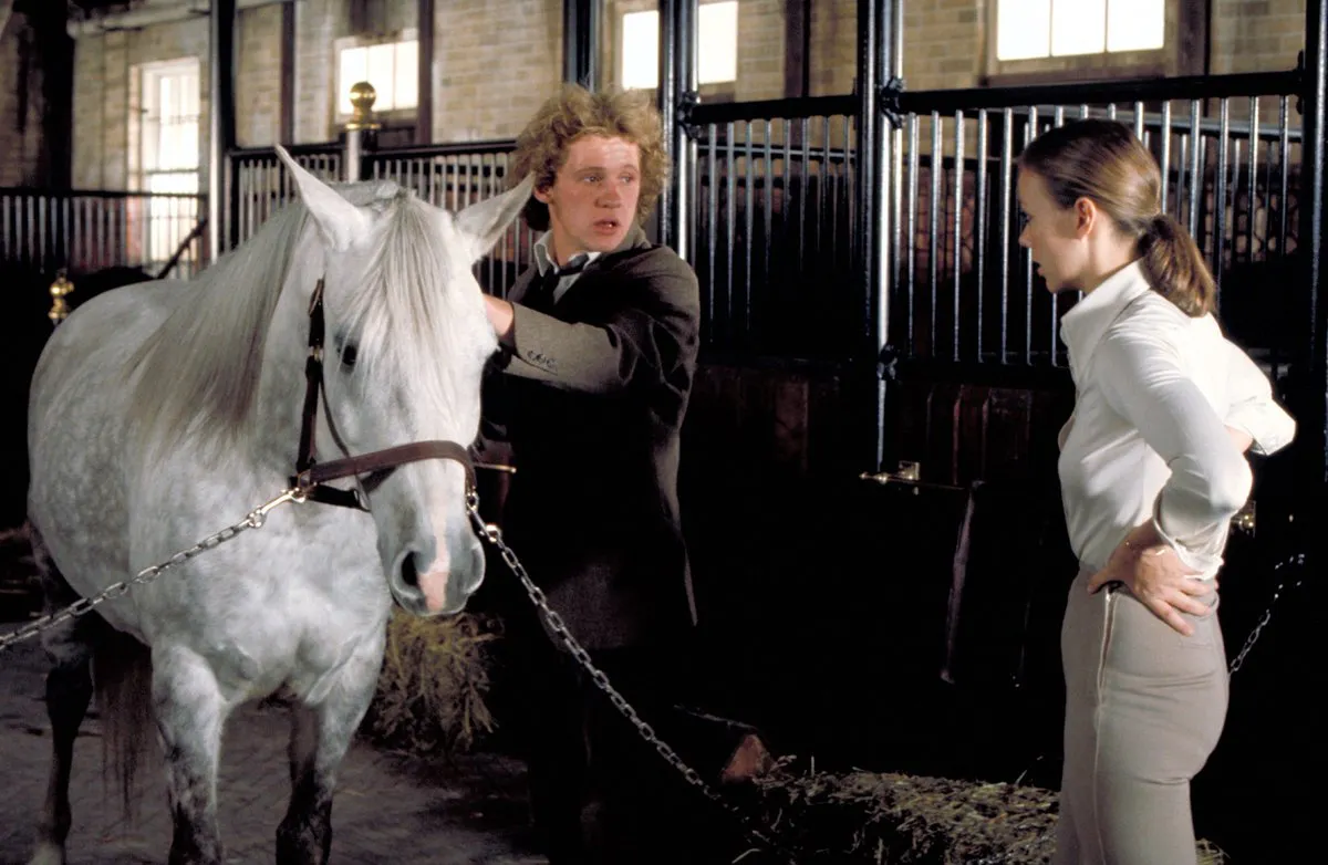 Equus — The Movies, Amsterdam