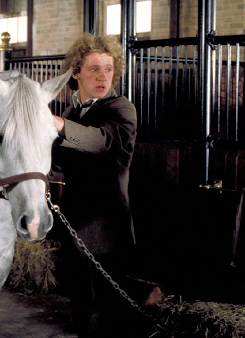 Equus — The Movies, Amsterdam