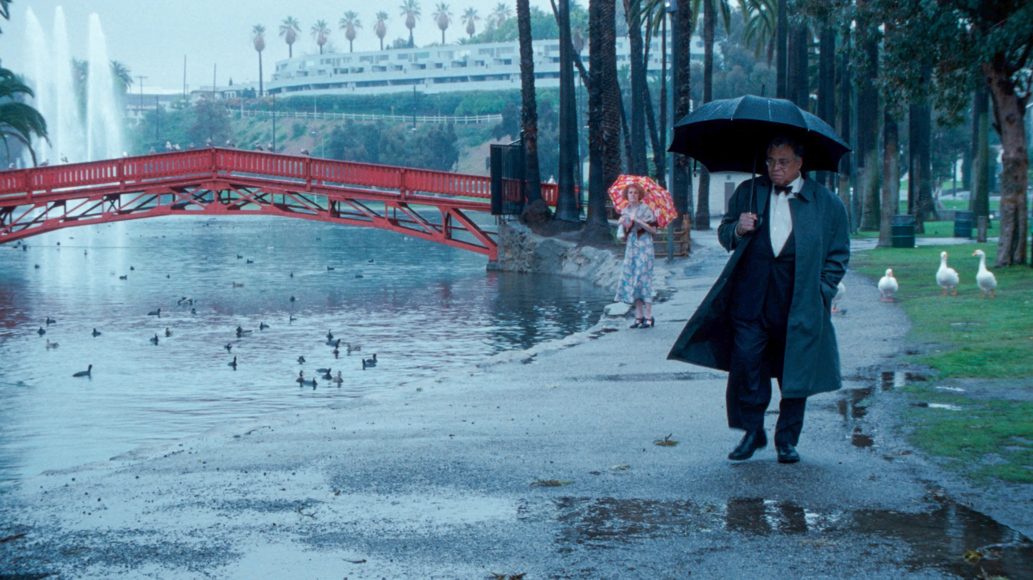 The Annihilation of Fish — The Movies, Amsterdam