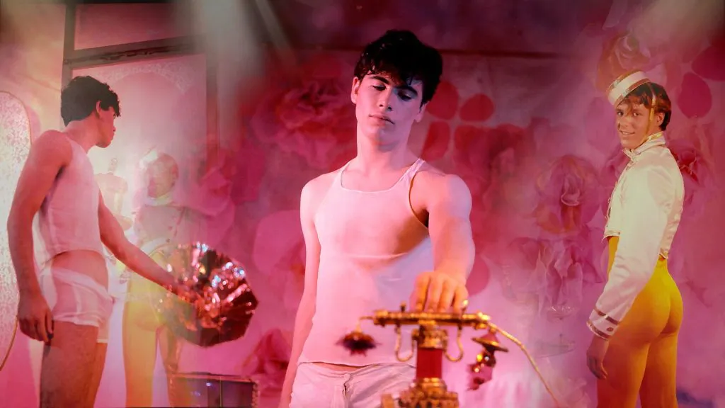 Velvet Vision: The Story of James Bidgood and the Making of Pink Narcissus