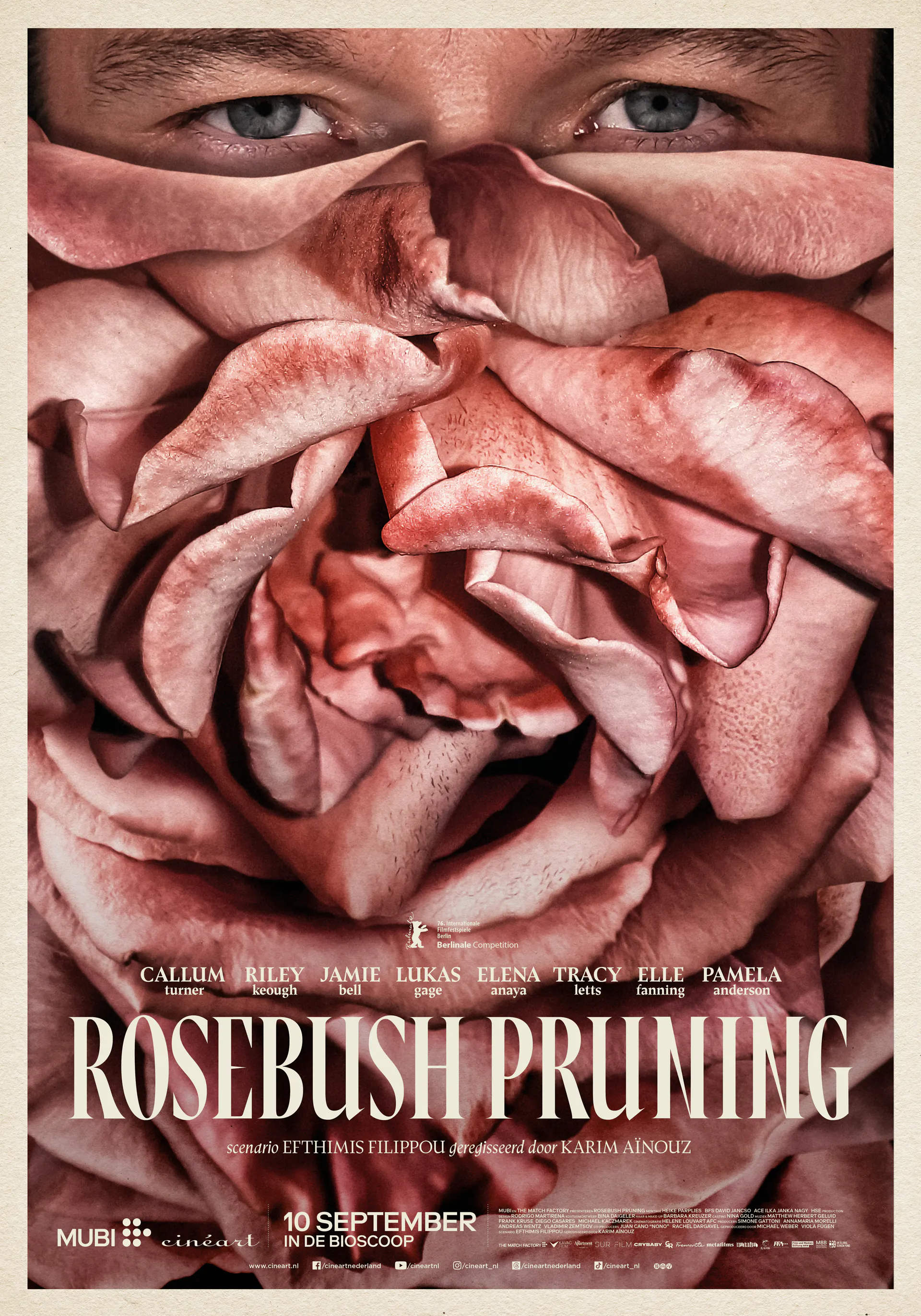 Rosebush Pruning — Eye, Amsterdam