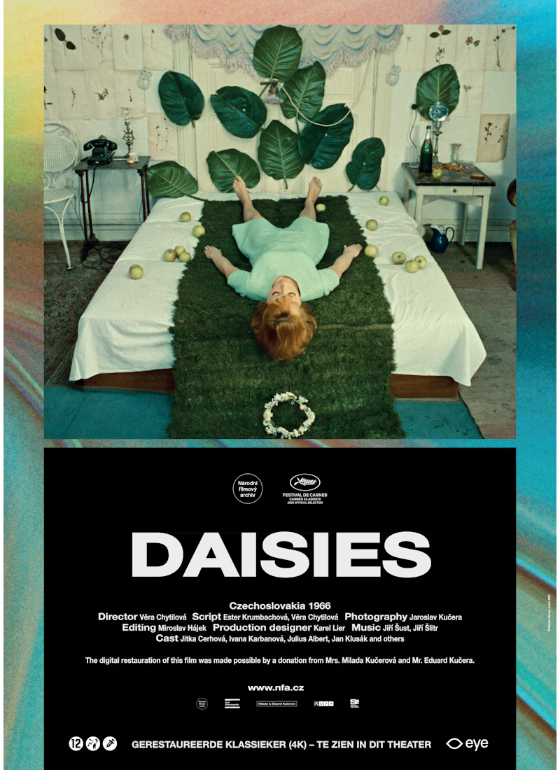 Daisies — De Uitkijk, Amsterdam