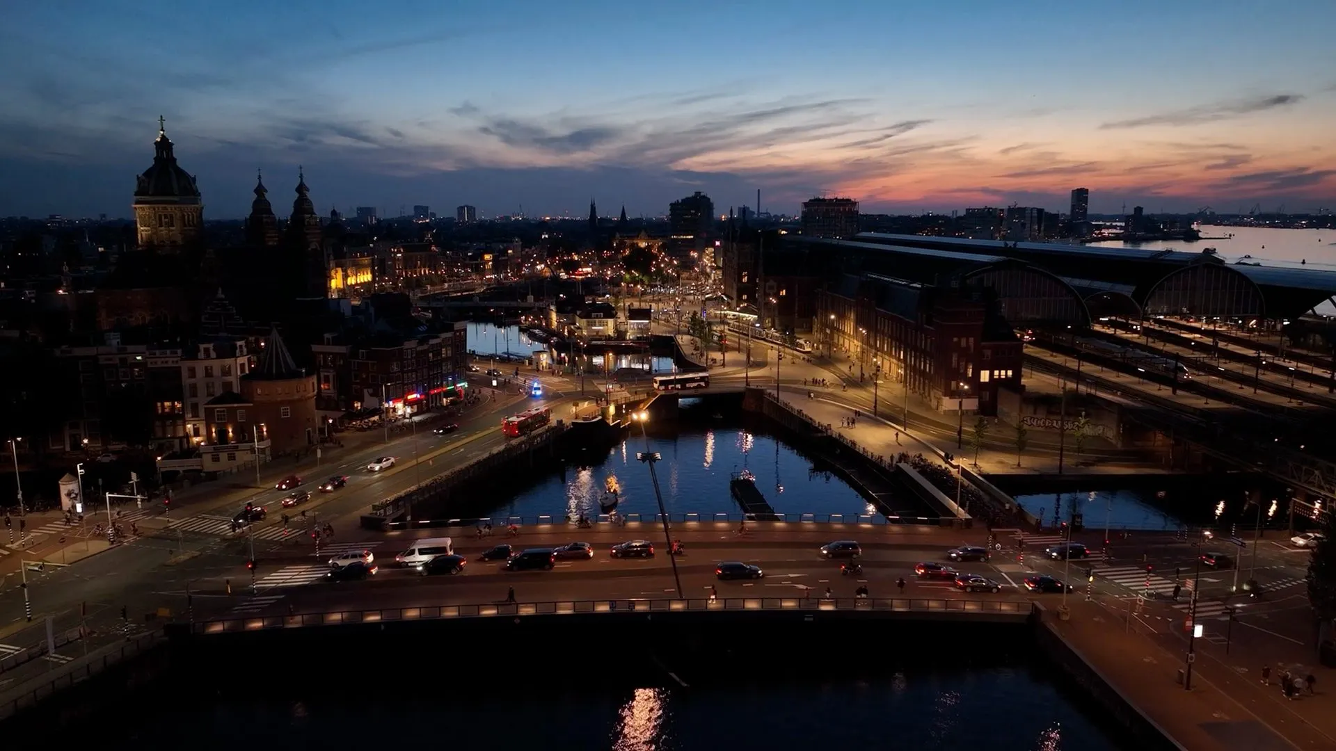 Amsterdam Wildlife by Night