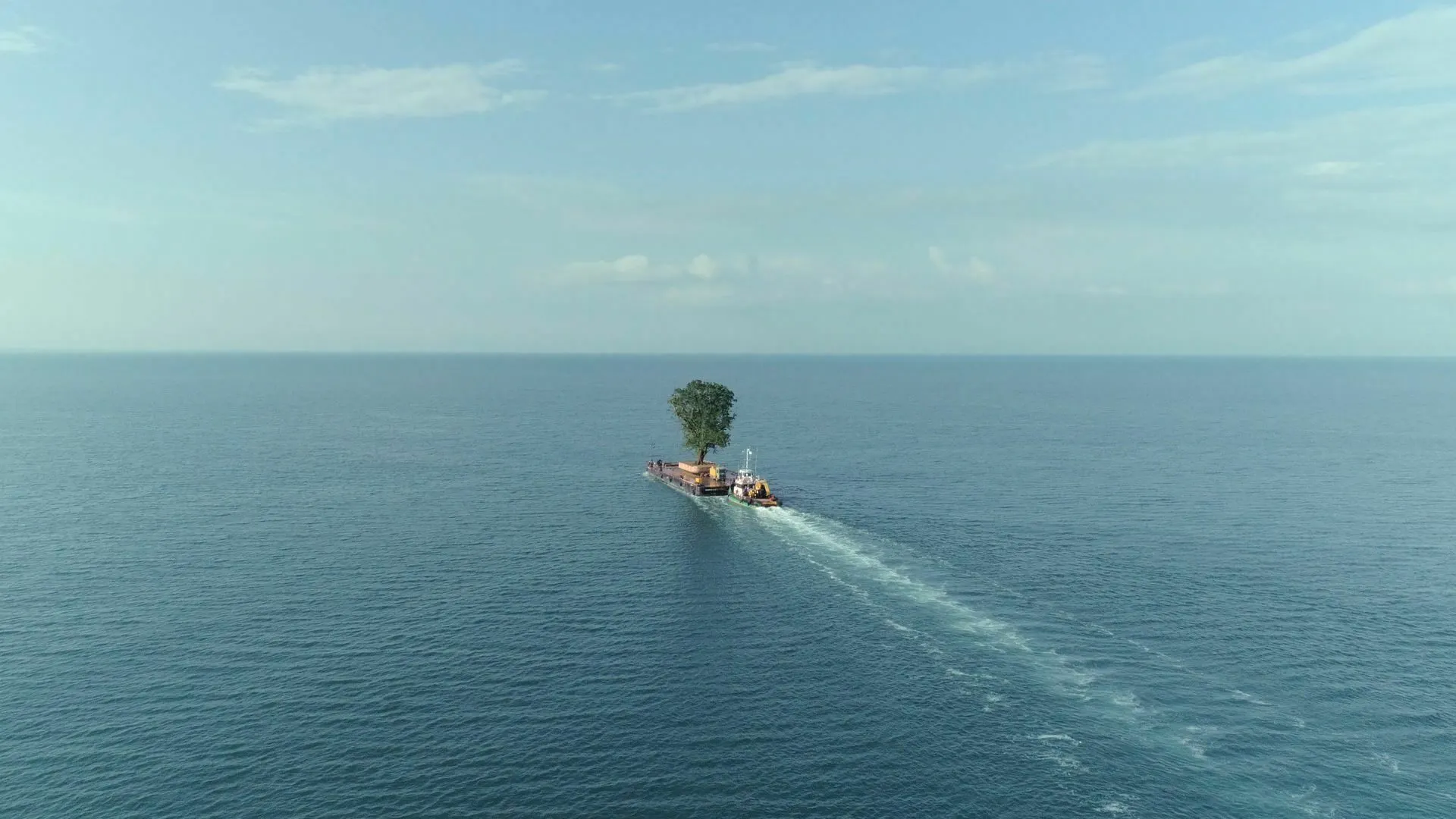 Taming the Garden — Het Documentaire Paviljoen, Amsterdam