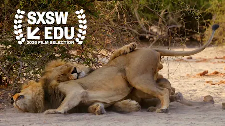 Second Nature: Gender and Sexuality in the Animal World