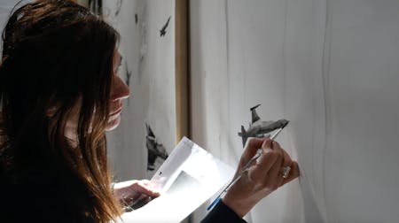 Warpaint – Women at War