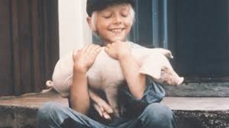 Michel bringt die Welt in Ordnung