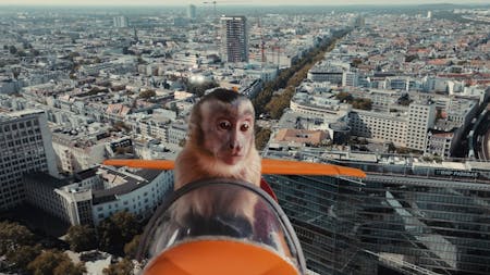 Akiko – Der fliegende Affe
