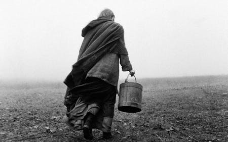 The Turin Horse