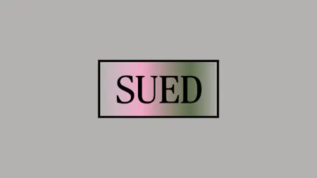 IFFI 2026 Gewinnerfilm Südwind