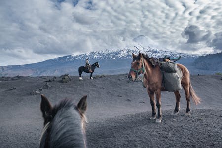 The Road to Patagonia