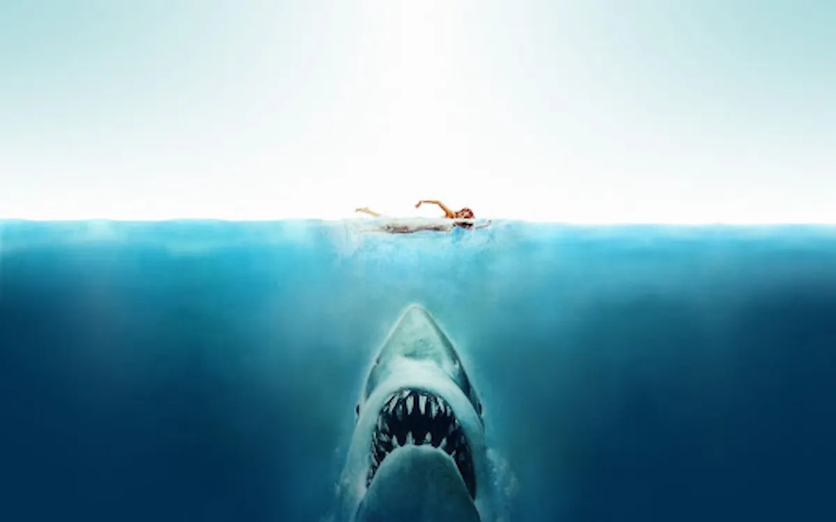 Jaws