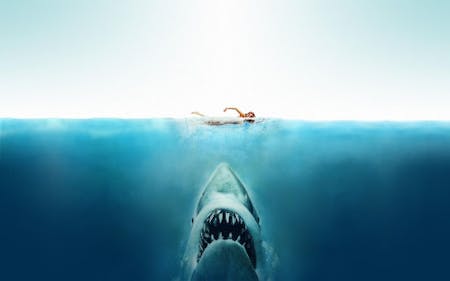 Jaws