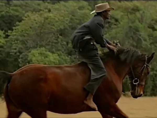 Filme von Tafadzwa Chiriga, Martha Ferguson, Cosmo Itayi Zengeya (2012–2018)