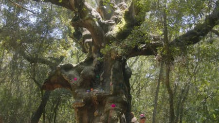 Valentina and the Muosters