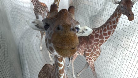 Kino für die Kleinsten: Verkehrte Welt