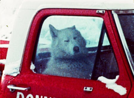 Was ist Film – Programm 33