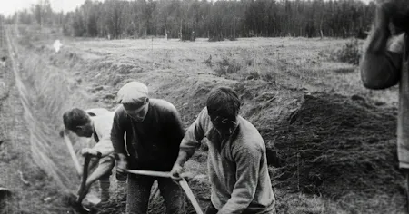 Padenie dinastii Romanovykh (The Fall of the Romanov Dynasty)