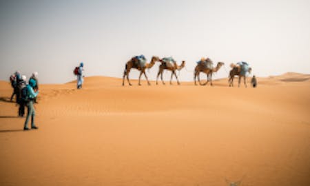 Wüste im Wandel – Ein Trek nach Tagounite