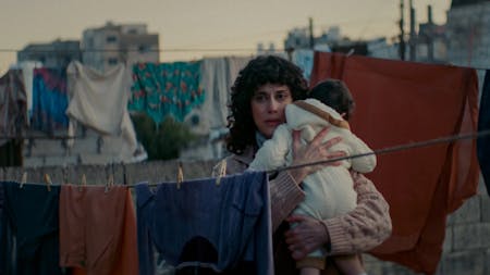 Im Schatten des Orangenbaums