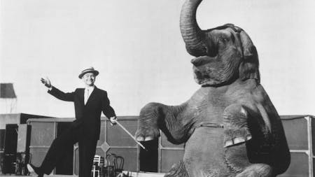 Die Welt der Sensationen