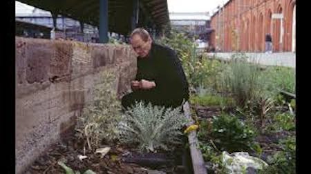 Lois Weinberger – Ruderal Society