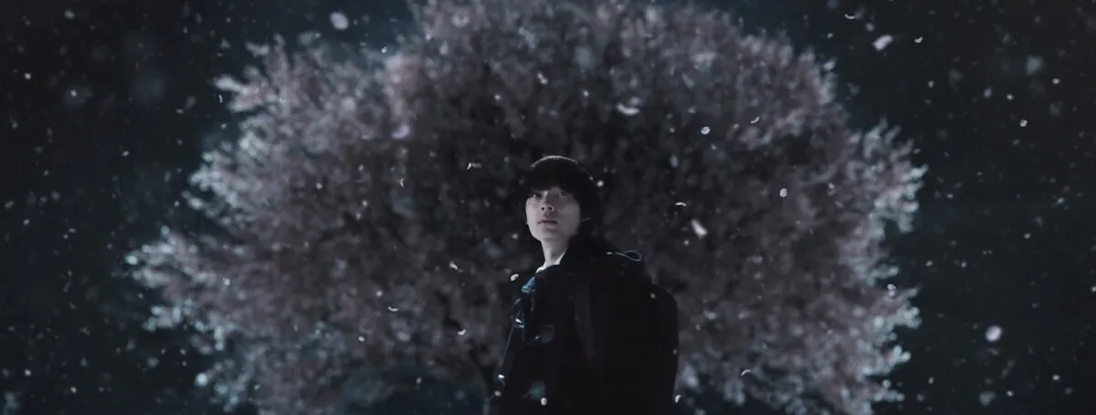 5 Centimeters per Second