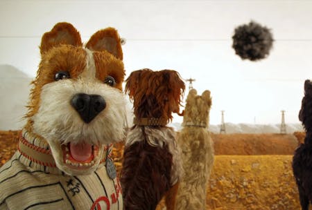 Isle of Dogs