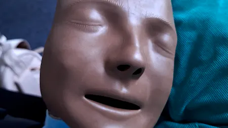 vienna shorts: Dense & Disturbing FIDO 4