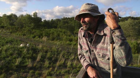 Shepherding Hope