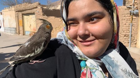 Like The Rain, Like The Sea