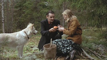 Der Mann ohne Vergangenheit