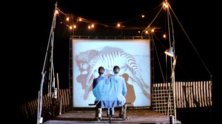 Peter Greenaway: A Zed & Two Noughts