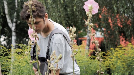 An Octopus Destroyed The Moon