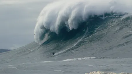 On the Wave