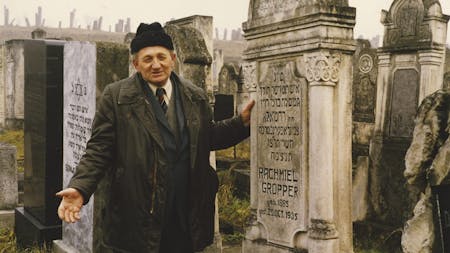 Die papierene Brücke