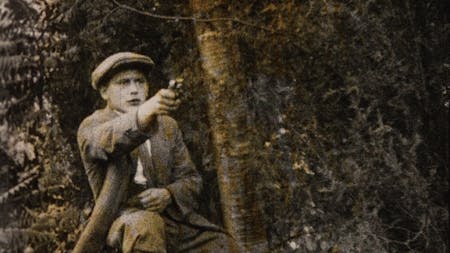 Die geheimnisvolle Macht / Der grüne Kakadu