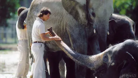 Zoo