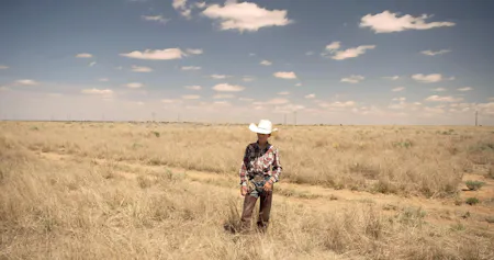The Cowboy