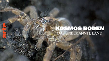 Kosmos Boden – Das unbekannte Land