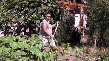 Queer Gardening