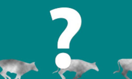 Überraschungsfilm – Frauen*kampftag