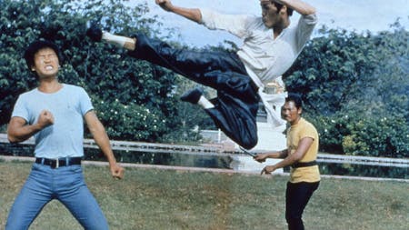 Die Todesfaust des Cheng Li