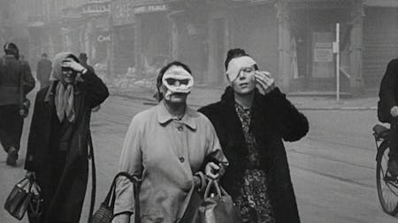 The Natural History of Destruction