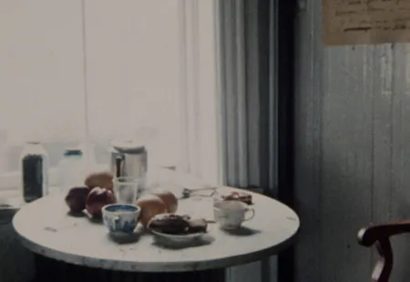 vienna shorts: Things In Film The Way Still Lives Go