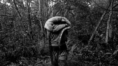 To The West In Zapata