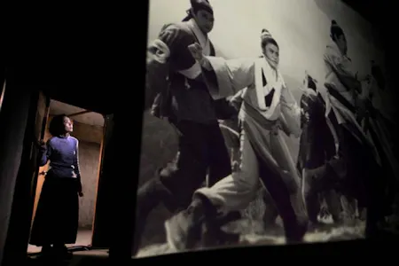 BU SAN (GOODBYE, DRAGON INN)